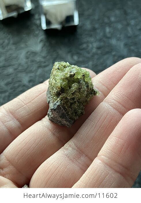 Arizona Olivine Crystals in Peridotite in Basalt Peridot Small Crystal Collector Specimen with a Wood Tag - #rZP7F6qdAOY-7