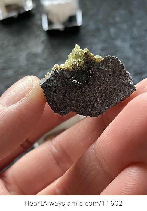 Arizona Olivine Crystals in Peridotite in Basalt Peridot Small Crystal Collector Specimen with a Wood Tag - #rZP7F6qdAOY-5