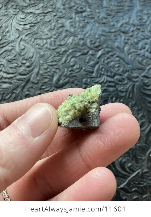Arizona Olivine Crystals in Peridotite in Basalt Peridot Small Crystal Collector Specimen with a Wood Tag Sm2 - #uc7ieVEYghE-4