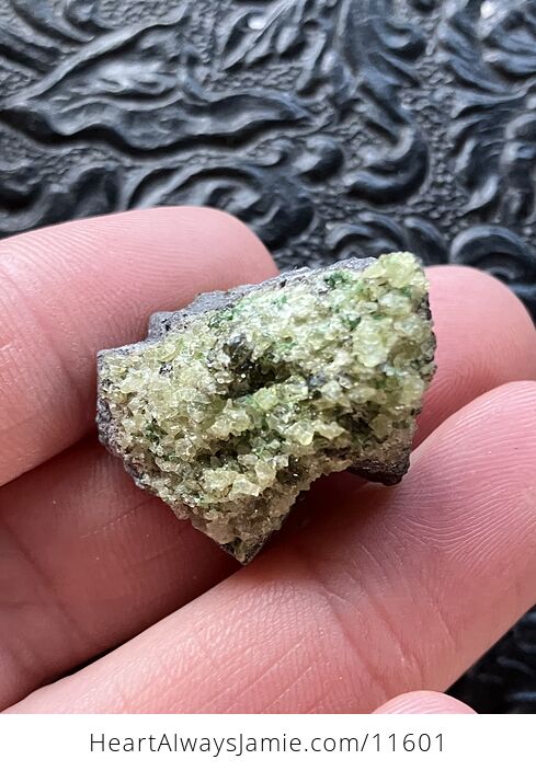 Arizona Olivine Crystals in Peridotite in Basalt Peridot Small Crystal Collector Specimen with a Wood Tag Sm2 - #uc7ieVEYghE-8