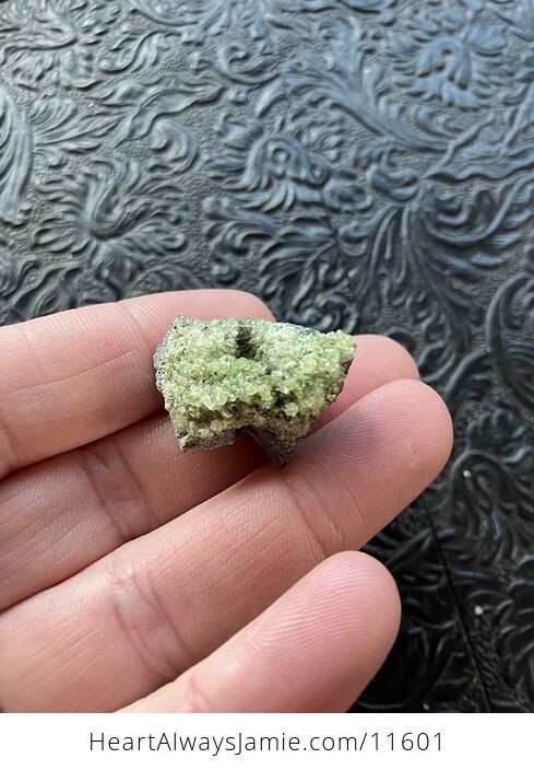 Arizona Olivine Crystals in Peridotite in Basalt Peridot Small Crystal Collector Specimen with a Wood Tag Sm2 - #uc7ieVEYghE-3