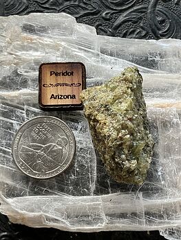 Arizona Olivine Crystals in Peridotite Peridot Collector Specimen with a Wood Tag #xpJy86TO6co