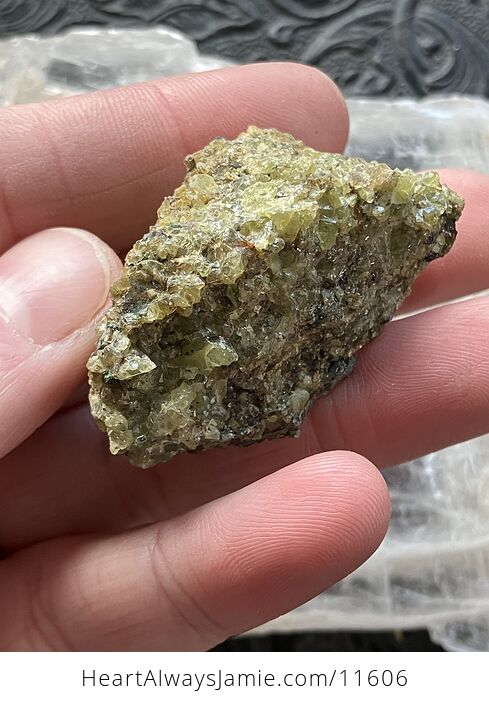 Arizona Olivine Crystals in Peridotite Peridot Collector Specimen with a Wood Tag - #xpJy86TO6co-4