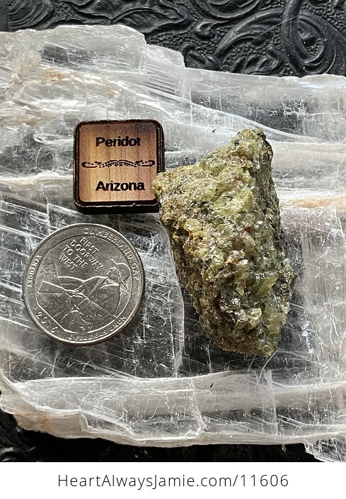 Arizona Olivine Crystals in Peridotite Peridot Collector Specimen with a Wood Tag - #xpJy86TO6co-1