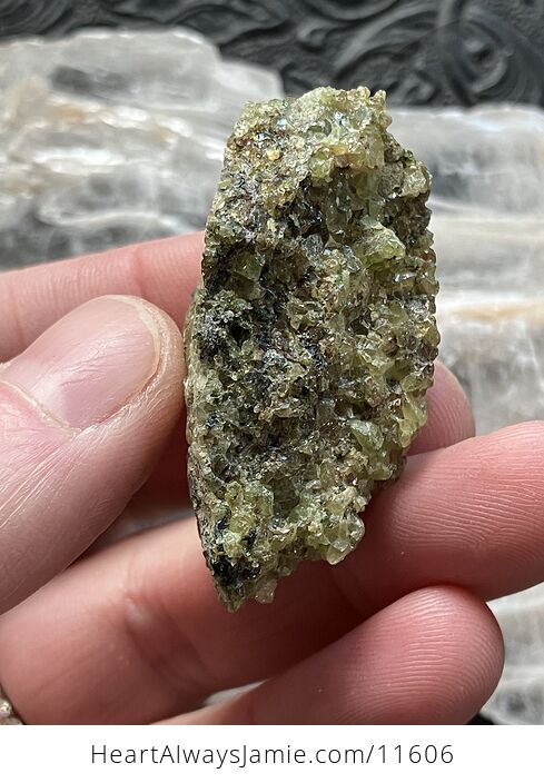 Arizona Olivine Crystals in Peridotite Peridot Collector Specimen with a Wood Tag - #xpJy86TO6co-8