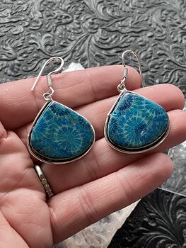 Blue Agatized Fossil Coral Crystal Gemstone Stone Jewelry Earrings Discounted #mEs3bx3WMIM
