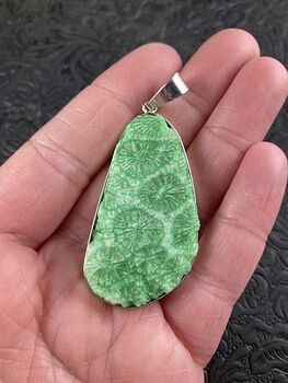 Bright Green Nipomo Coral Fossil Wire Framed Stone Pendant #uoxeGyPSZqU
