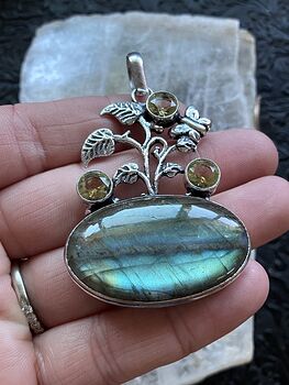 Butterfly Plant Citrine and Labradorite Pendant Crystal Stone Jewelry #c1E9oZLElqY