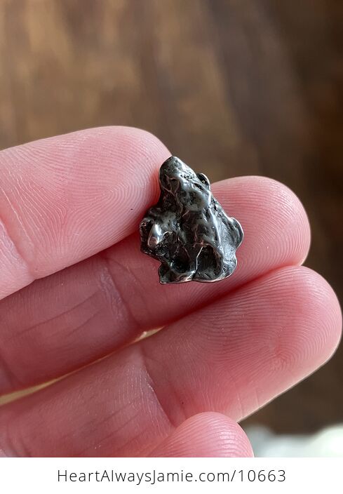 Campo Del Cielo Meteorite Resembling Old Man with a Custom Wood Display - #bHkdNShjaQ4-6
