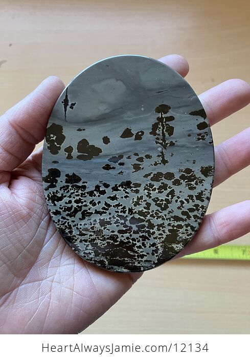 Chinese Dendritic Siltstone Painting Stone or Picture Jasper Tree in Landscape Scene - #DMhVpLSajMk-1