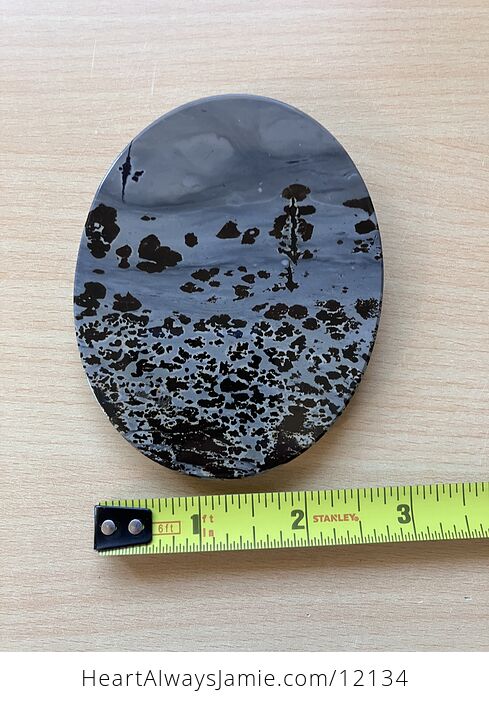 Chinese Dendritic Siltstone Painting Stone or Picture Jasper Tree in Landscape Scene - #DMhVpLSajMk-5