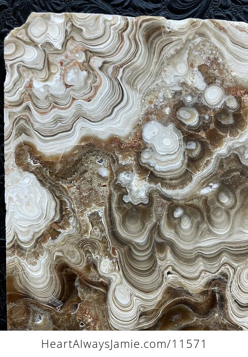 Chocolate Calcite Slab Stone Crystal Plate - #GW0kB6yLRuw-11