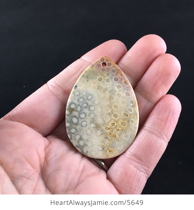 Chrysanthemum Coral Fossil Stone Pendant Necklace Jewelry - #QOLiNwMKEGA-6