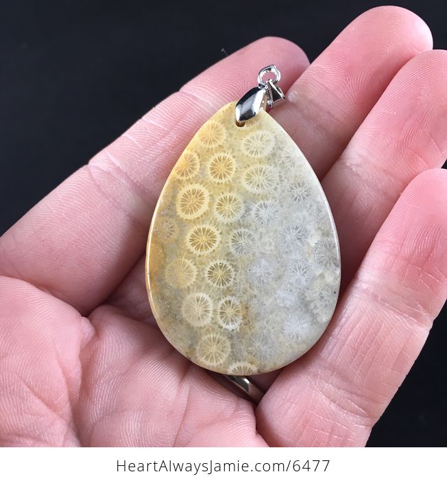 Chrysanthemum Coral Fossil Stone Pendant Necklace Jewelry - #ts0ys8XhYdo-6