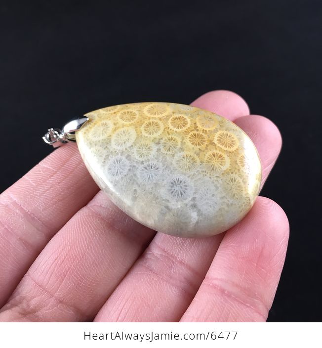 Chrysanthemum Coral Fossil Stone Pendant Necklace Jewelry - #ts0ys8XhYdo-4