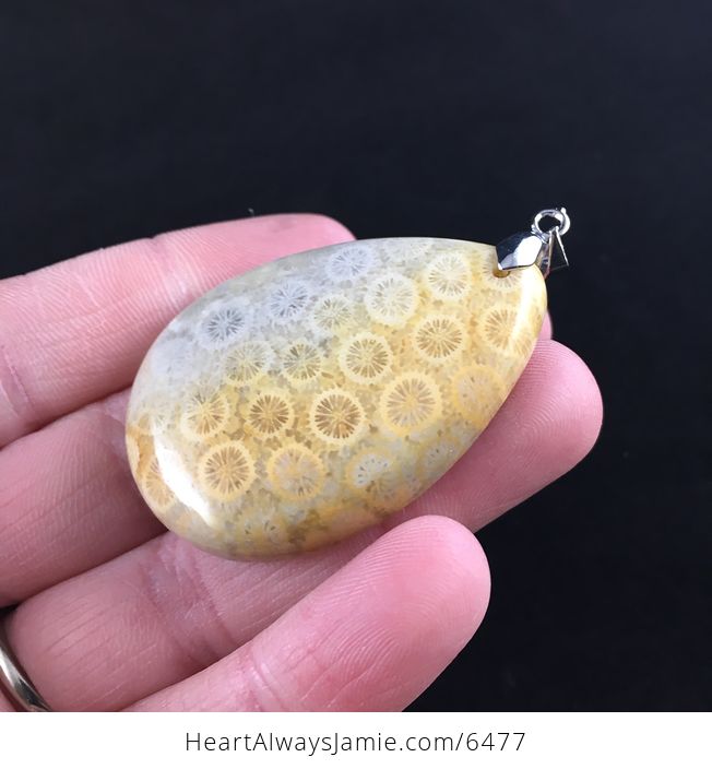 Chrysanthemum Coral Fossil Stone Pendant Necklace Jewelry - #ts0ys8XhYdo-3