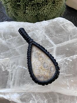 Coral Fossil Gemstone Stone Jewelry Crystal Pendant #8YlQwBF1tmQ