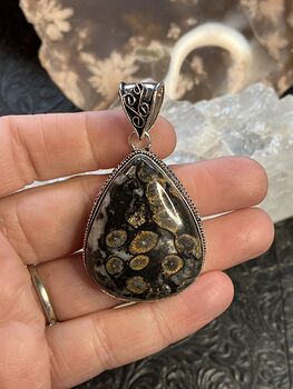Coral Fossil Gemstone Stone Jewelry Crystal Pendant #EbWra8glNBg