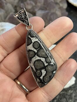 Coral Fossil Gemstone Stone Jewelry Crystal Pendant #toBDGXTwocs