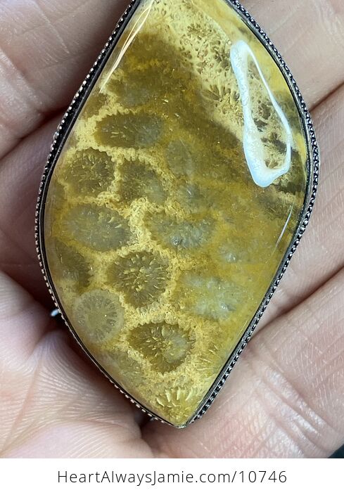 Coral Fossil Gemstone Stone Jewelry Crystal Pendant - #6KQtnR6LBJg-3