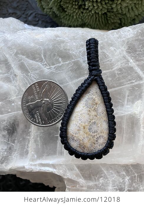 Coral Fossil Gemstone Stone Jewelry Crystal Pendant - #8YlQwBF1tmQ-5