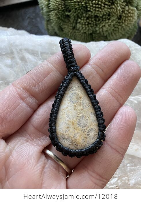 Coral Fossil Gemstone Stone Jewelry Crystal Pendant - #8YlQwBF1tmQ-2