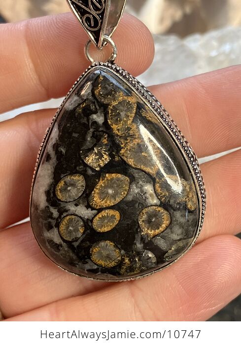 Coral Fossil Gemstone Stone Jewelry Crystal Pendant - #EbWra8glNBg-2
