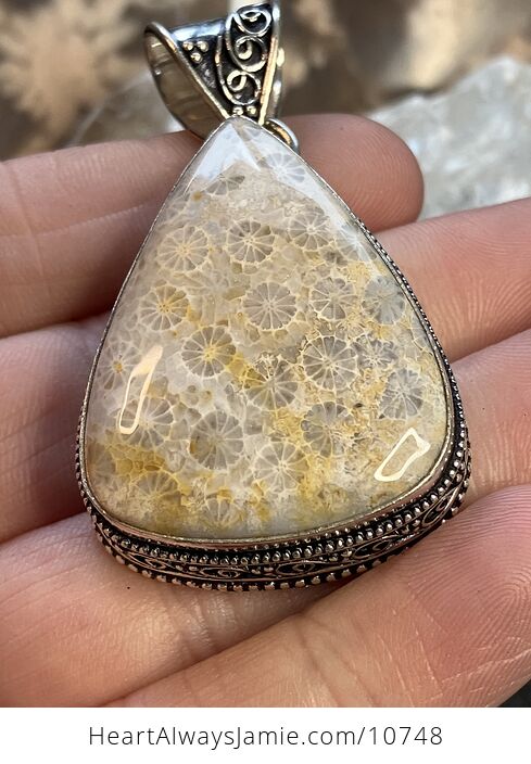 Coral Fossil Gemstone Stone Jewelry Crystal Pendant - #vG3VCuF2IcM-4