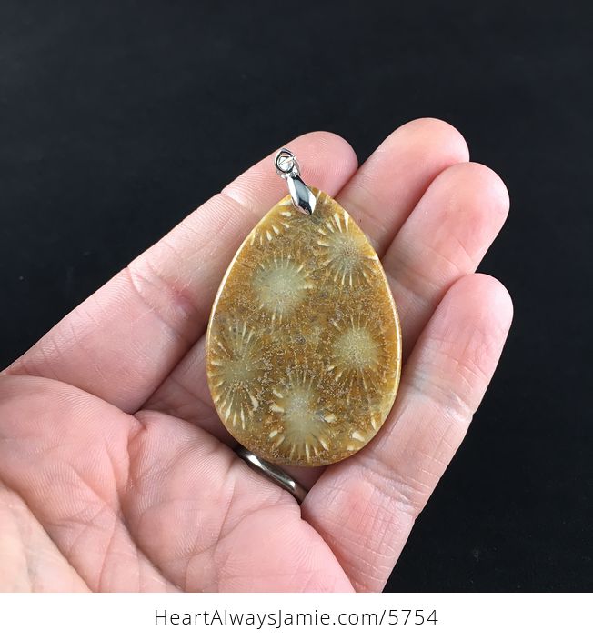Coral Fossil Stone Jewelry Pendant - #CilAxvocEJM-2