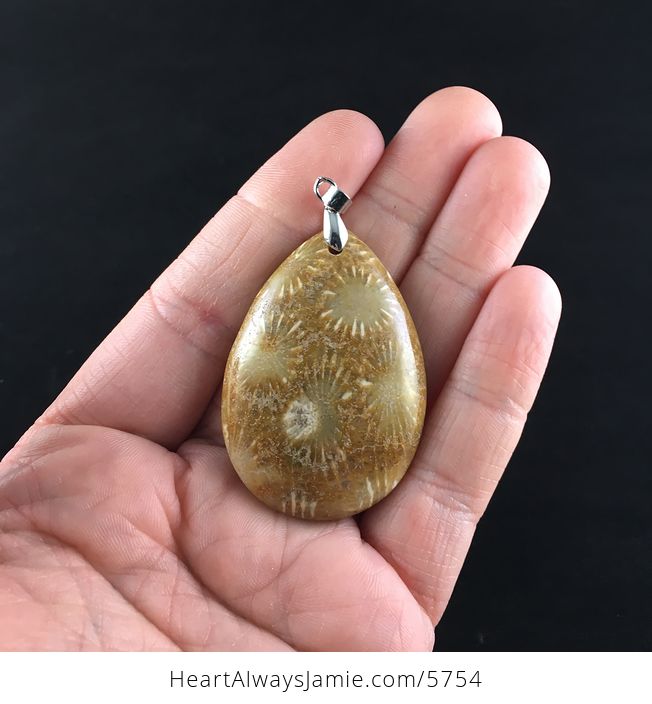 Coral Fossil Stone Jewelry Pendant - #CilAxvocEJM-1