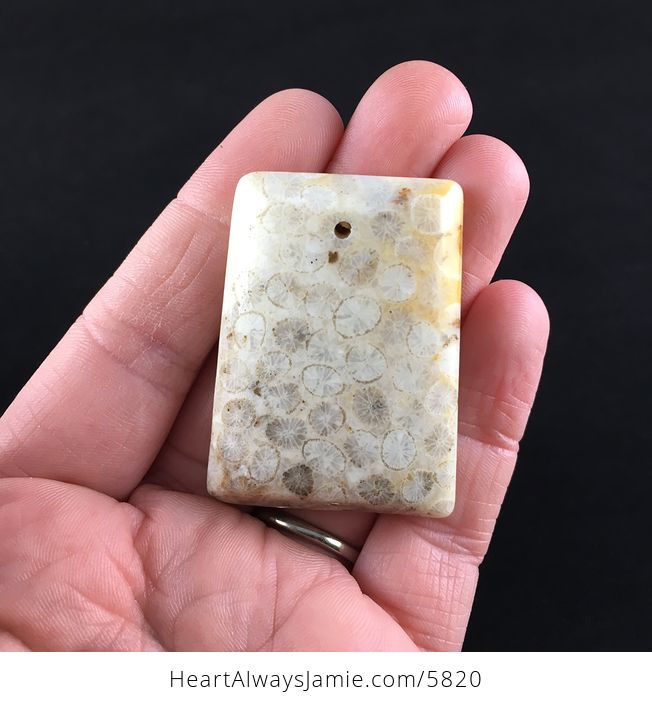 Coral Fossil Stone Jewelry Pendant - #k4xZQtXU76k-1