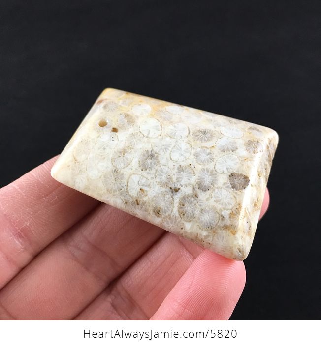 Coral Fossil Stone Jewelry Pendant - #k4xZQtXU76k-4
