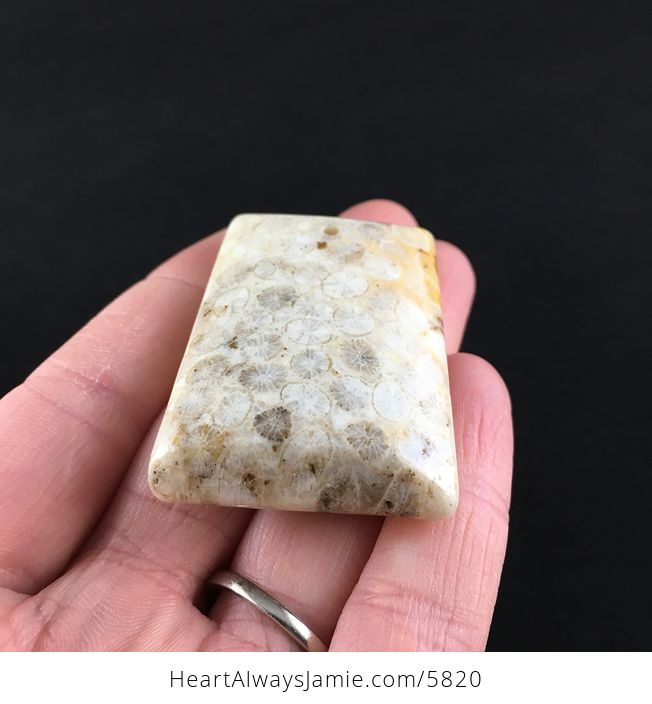 Coral Fossil Stone Jewelry Pendant - #k4xZQtXU76k-2