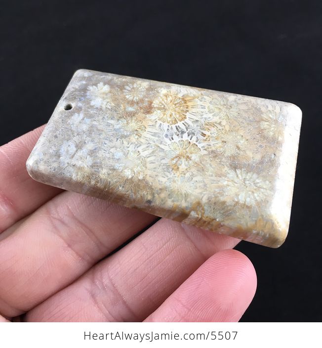 Coral Fossil Stone Jewelry Pendant - #uZTvQN4OcLM-4