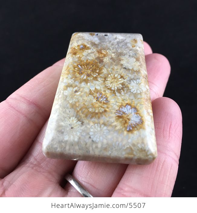Coral Fossil Stone Jewelry Pendant - #uZTvQN4OcLM-7