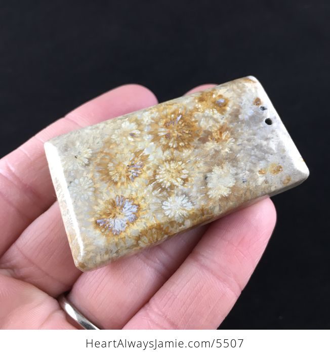 Coral Fossil Stone Jewelry Pendant - #uZTvQN4OcLM-8