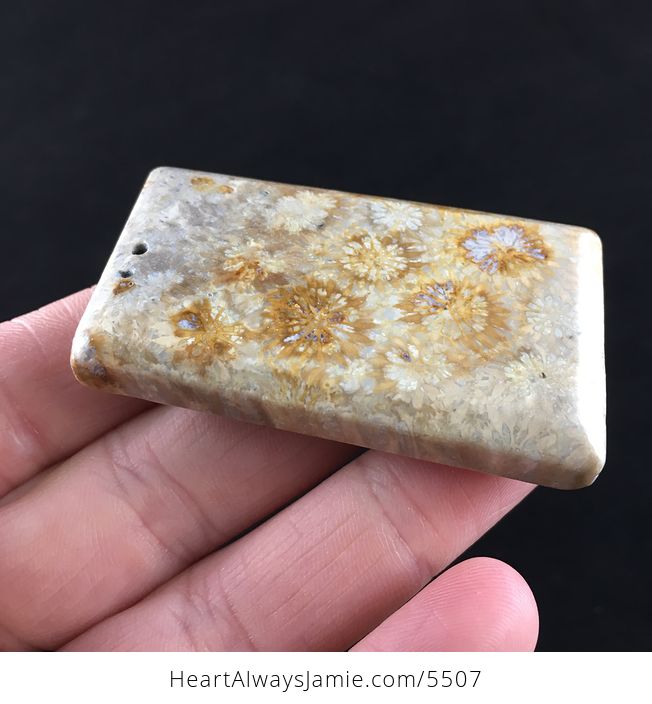 Coral Fossil Stone Jewelry Pendant - #uZTvQN4OcLM-9