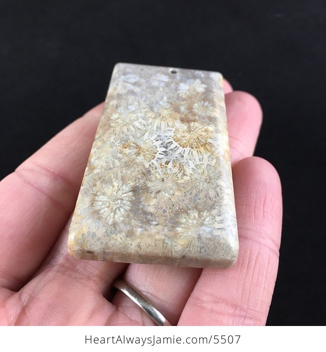 Coral Fossil Stone Jewelry Pendant - #uZTvQN4OcLM-2