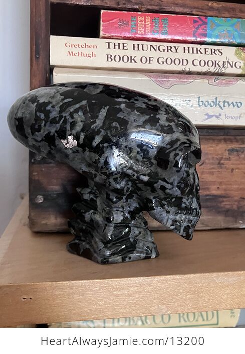 Elongated Alien Skull Crystal Carving in Indigo Gabbro Mystic Merlinite - #FlxCFW4QiRs-11