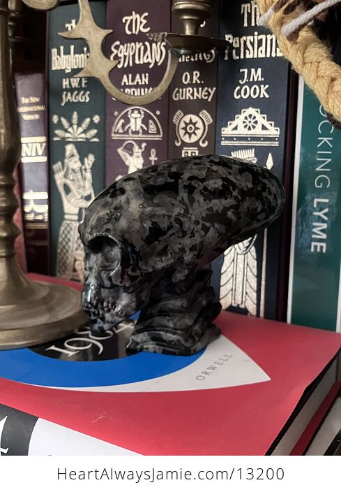 Elongated Alien Skull Crystal Carving in Indigo Gabbro Mystic Merlinite - #FlxCFW4QiRs-10