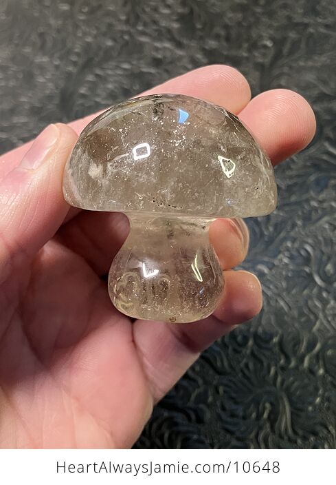Fairy Mushroom House Carved in Smoky Quartz Crystal with Rutile and Tourmaline - #vrYZybqTBGo-5