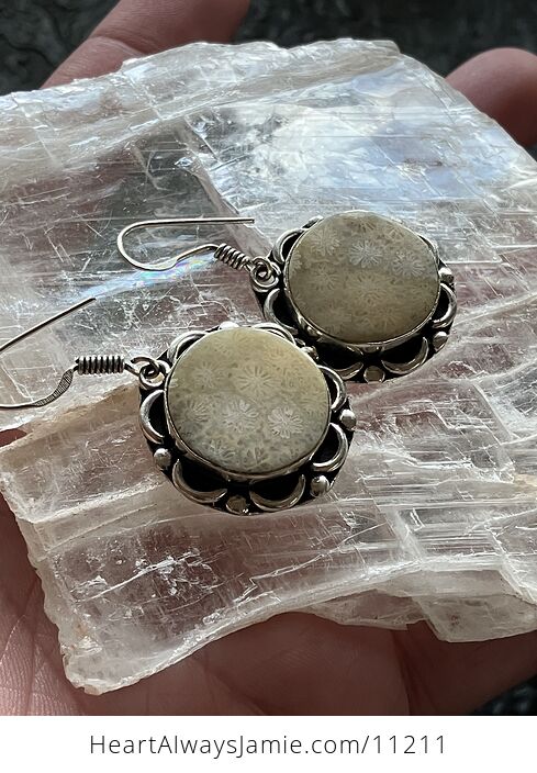 Fossil Coral Crystal Gemstone Stone Jewelry Earrings - #acw5FGrCpdc-3