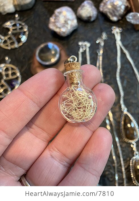 Fruticose Lichen in Glass with Cork Stopper Oregon Jewelry Pendant - #YnmMxIhmHbk-6