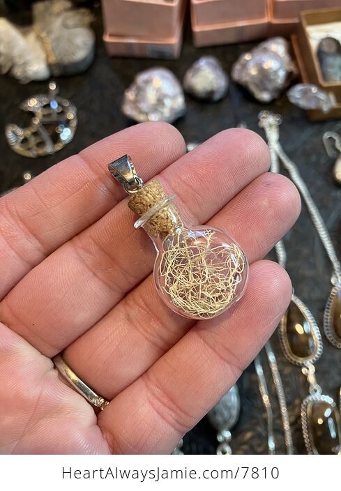 Fruticose Lichen in Glass with Cork Stopper Oregon Jewelry Pendant - #YnmMxIhmHbk-1