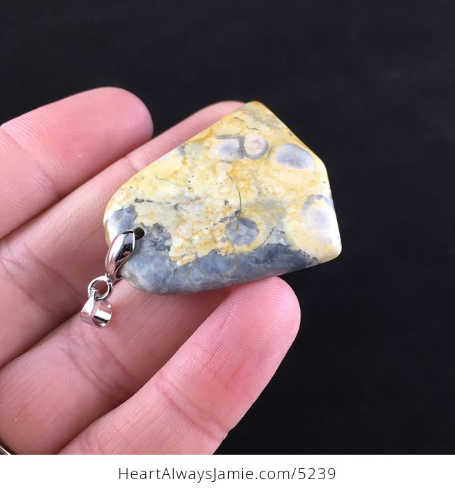 Gray and Orange Coral Fossil Stone Jewelry Pendant - #bQWCRNLAOek-4