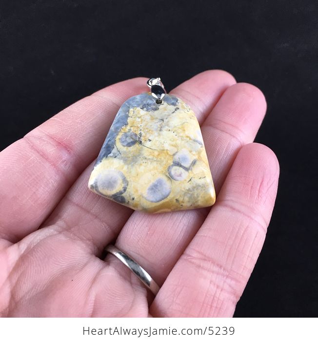 Gray and Orange Coral Fossil Stone Jewelry Pendant - #bQWCRNLAOek-2