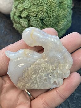Hand Carved Natural Agate Crystal Octopus Figurine #hH6RayJZbsE