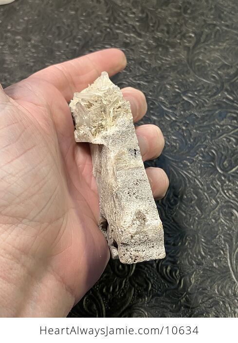 Hand Carved Stone Bear Crystal Figurine - #KeyzfYDXaaY-4