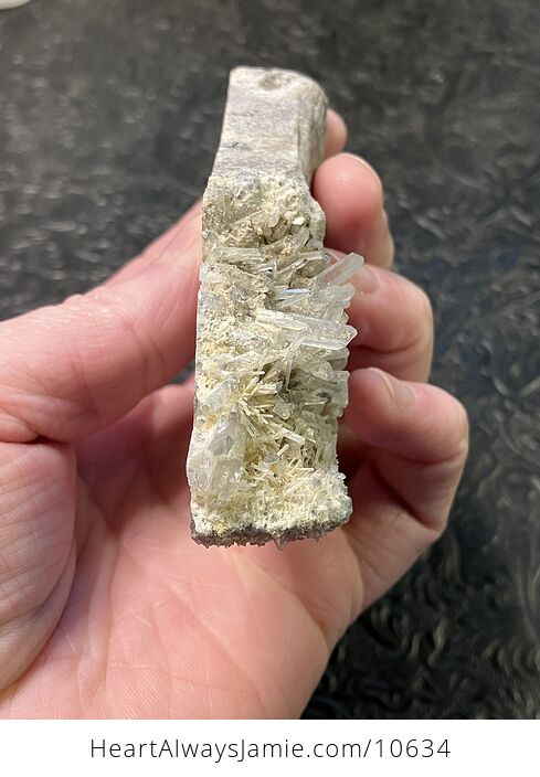 Hand Carved Stone Bear Crystal Figurine - #KeyzfYDXaaY-6