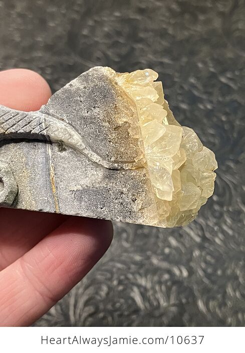 Hand Carved Stone Dinosaur Crystal Figurine - #qIpFF0ESu0c-3